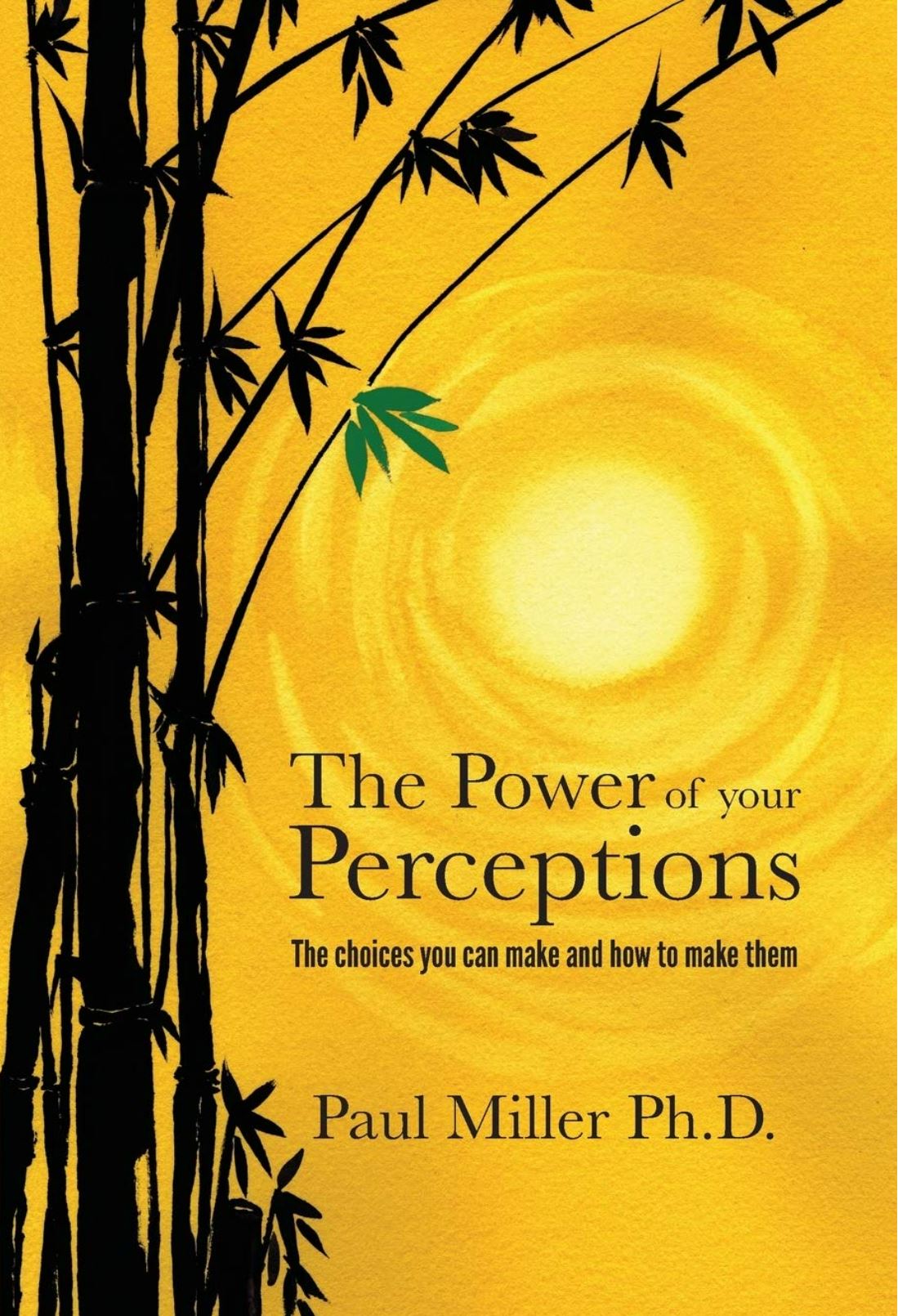The Power of Your Perceptions, by Paul Miller PhD